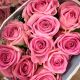 Pink Akva (Pink Aqua ®)