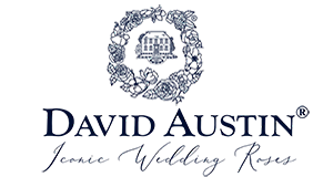 david austin